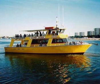 destin dolphin cruise destin, dolphin cruise,sunset cruise,captain olin marler dolphin watching party underway,fun things to do in destin florida
